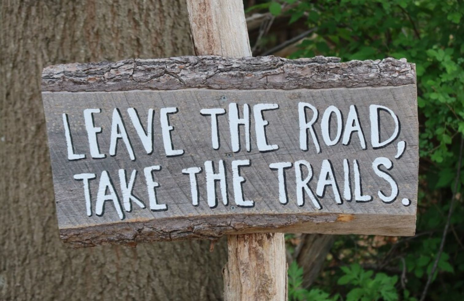 eclore-ensemble-constance08