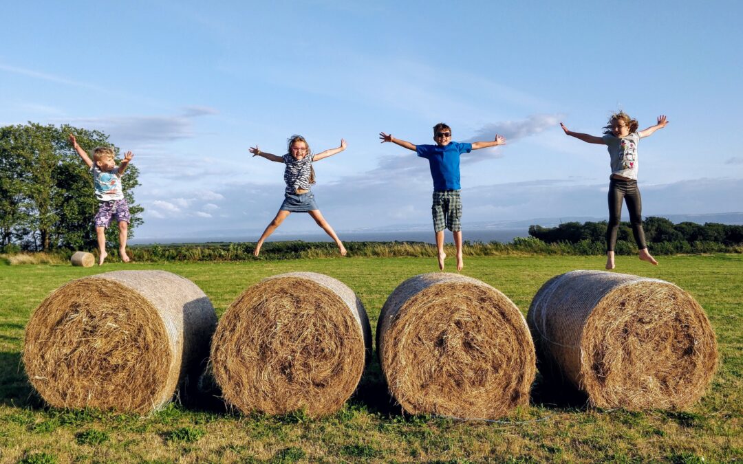 Retrouver le bonheur d’apprendre… en équipe