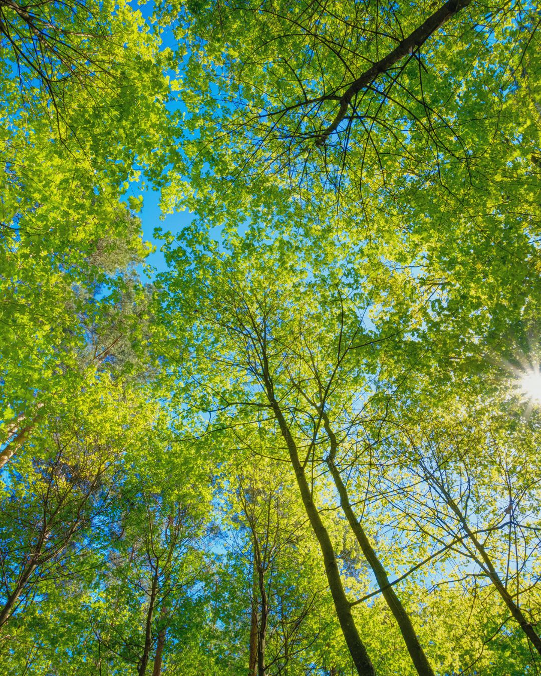 eclore-ensemble-constance18