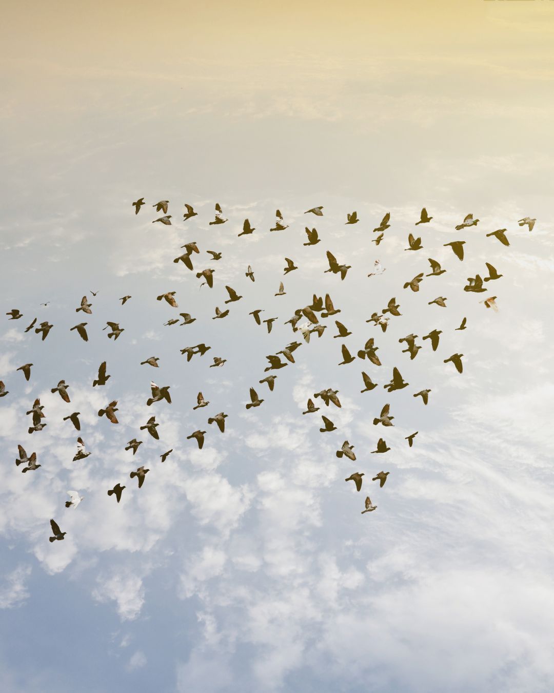 eclore-ensemble-constance19