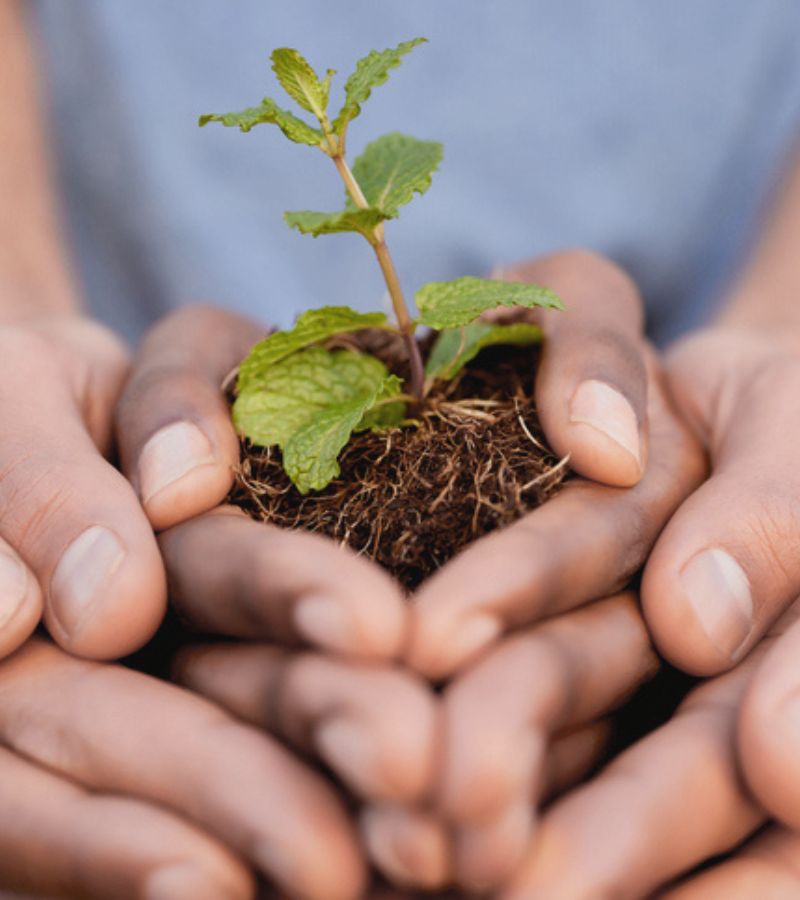 eclore-ensemble-constance27